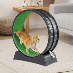 Silent Cat Exercise Wheel with Scratch Pad and Green Carpet